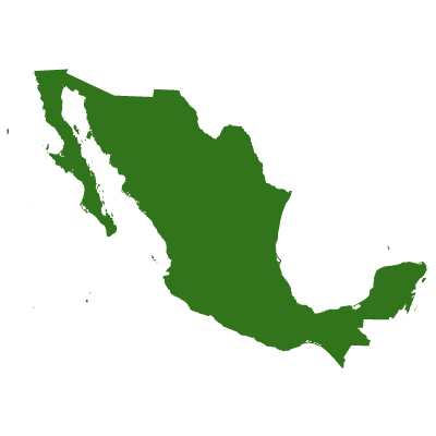 メキシコ合衆国無料フリーイラスト｜無地(緑)